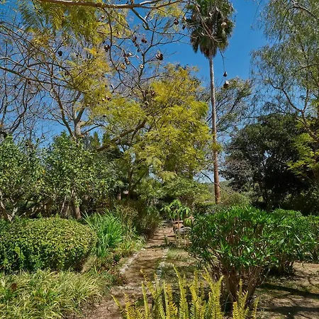 Penzion Quinta Da Colina Guest House/studio